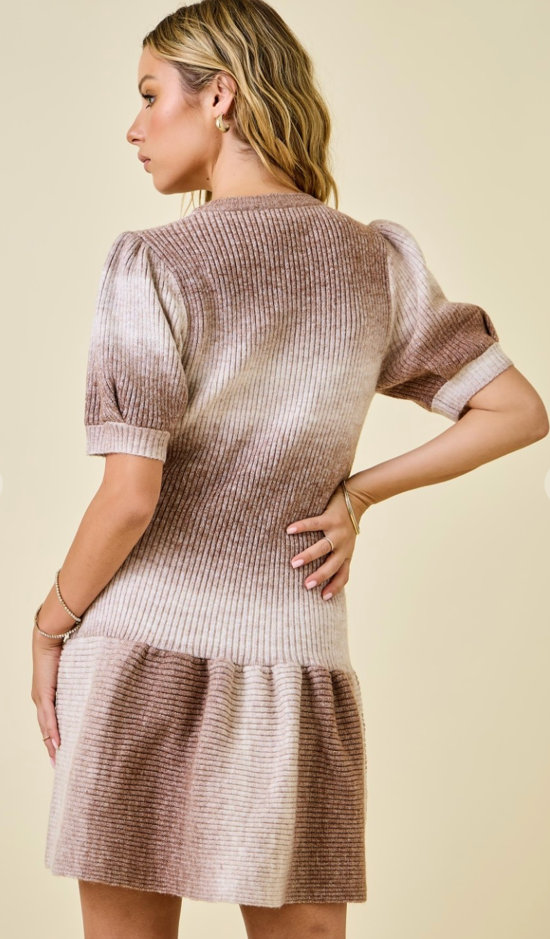 Ombre Knit Mini Dress