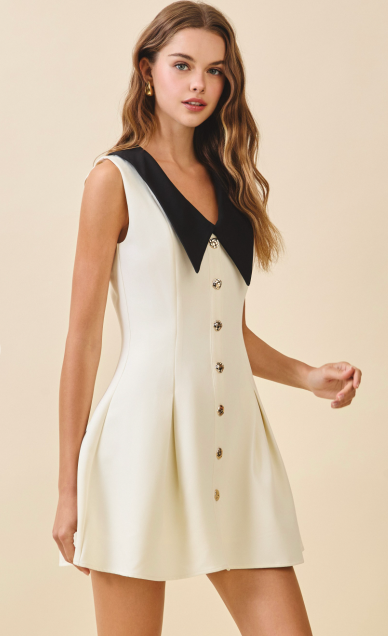 Contrast Collar Mini Dress