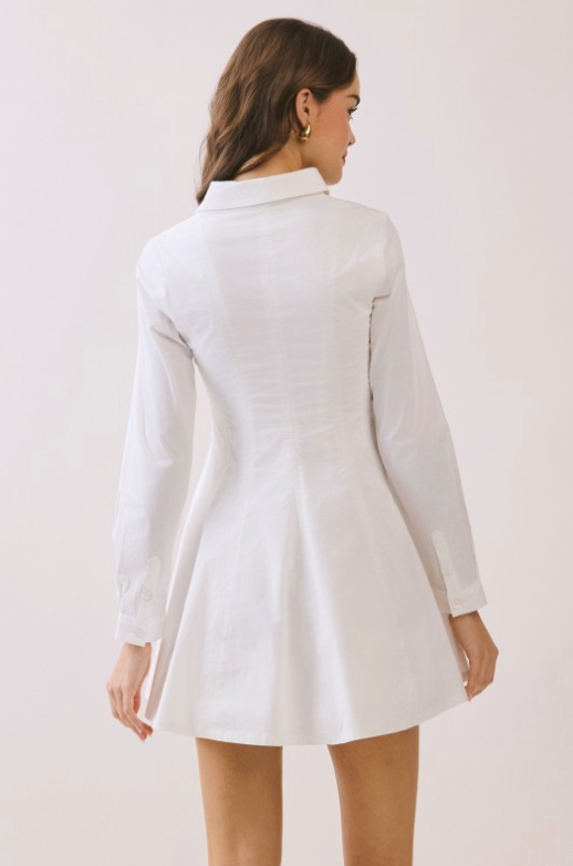 V Neck Placket Tailored Seam Detail Shirt Dress