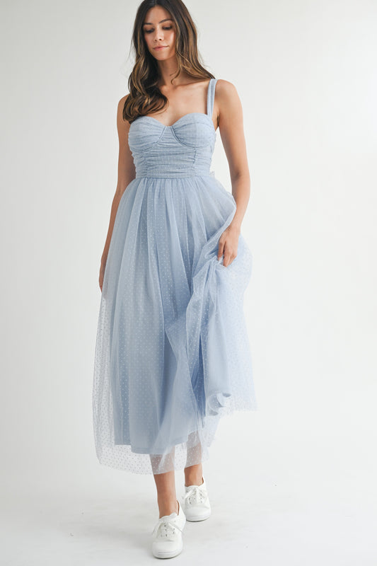 Polka Dot Mesh Maxi Dress