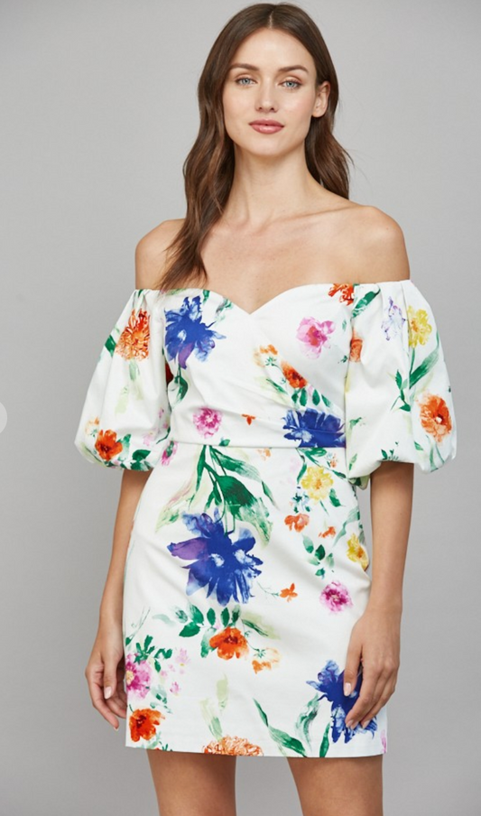 Floral Print Puff Sleeve Dress