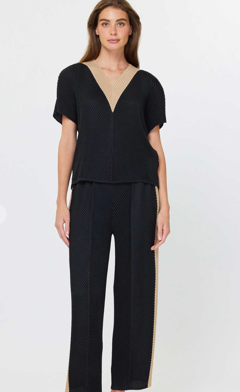 Pleated Tapered Pants