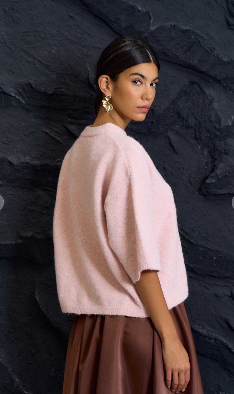 Sweater Short Sleeve Top