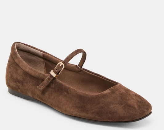 Reyes Suede Ballet Flat