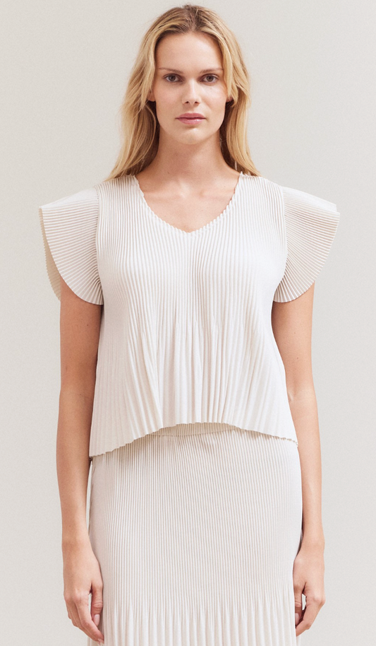Wrinkled Pleats Ruffle Top