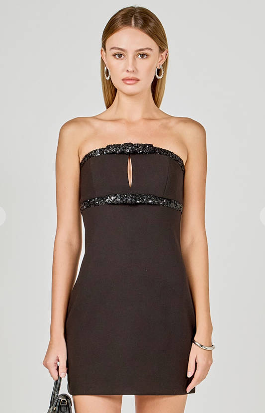 Sequin Trimmed Mini Dress