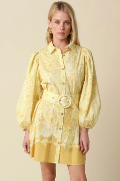 Joy Belted Button-down Shirt Dress