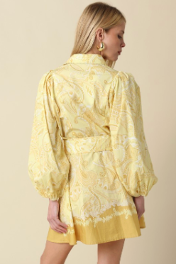 Joy Belted Button-down Shirt Dress