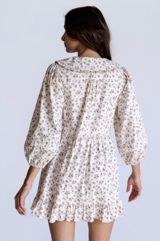 Floral Peter Pan Collar Dress