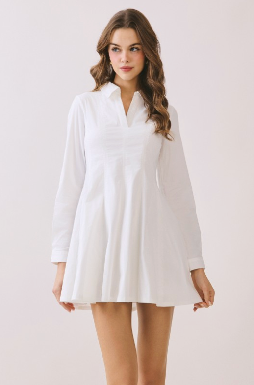 V Neck Placket Tailored Seam Detail Shirt Dress