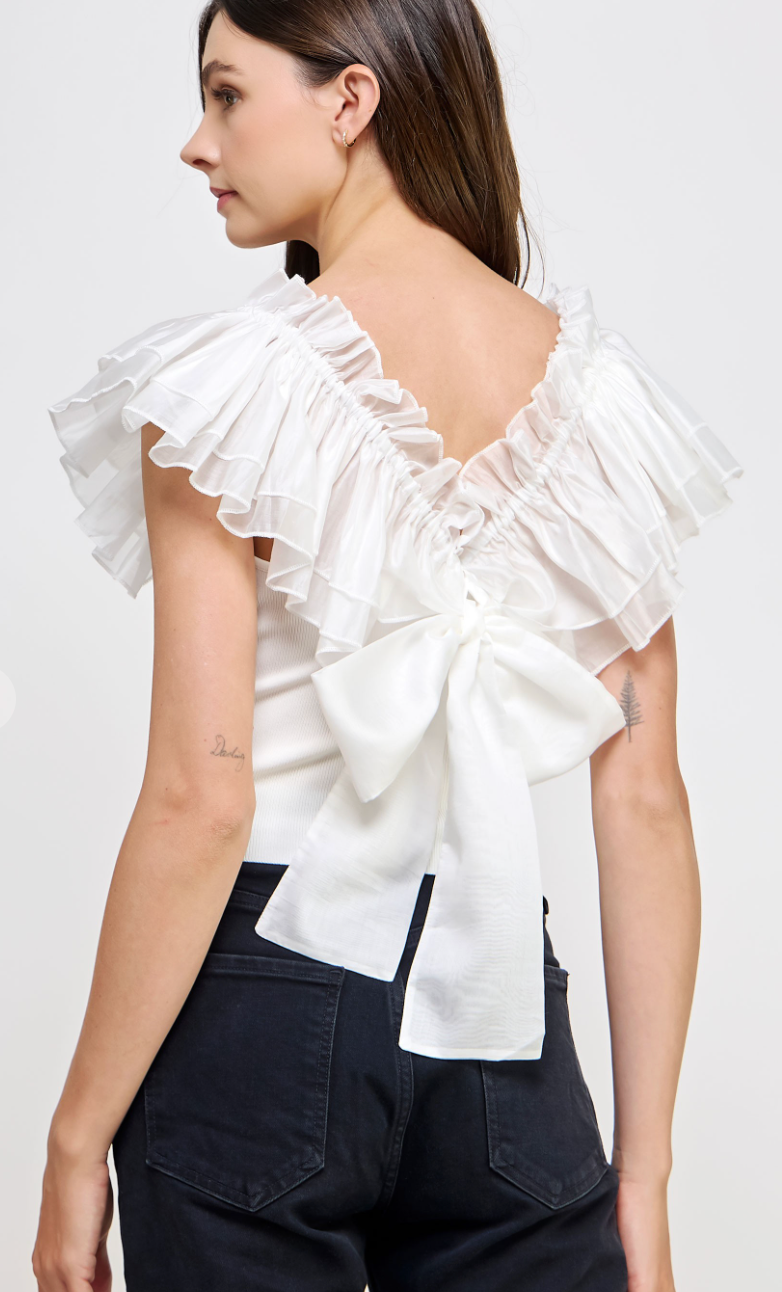 Back Tie Organza Sleeve Top