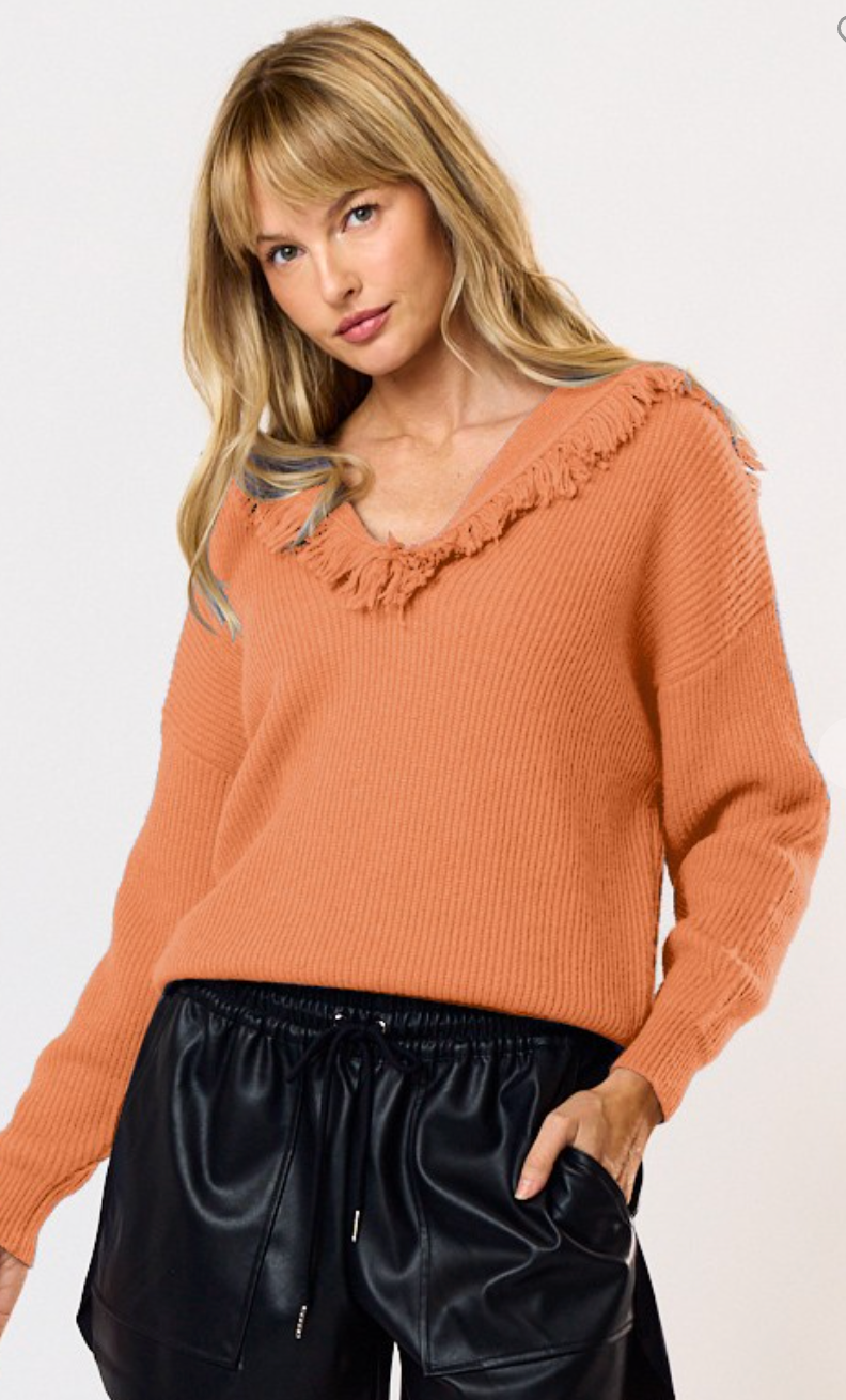 Frayed Hem Collared Sweater