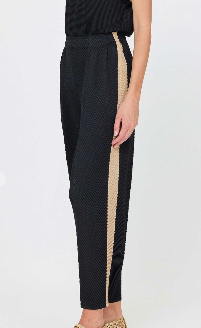 Pleated Tapered Pants
