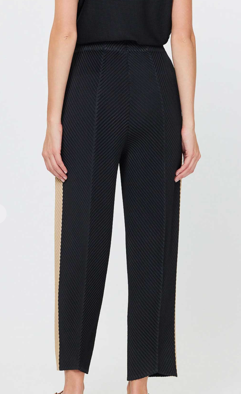 Pleated Tapered Pants