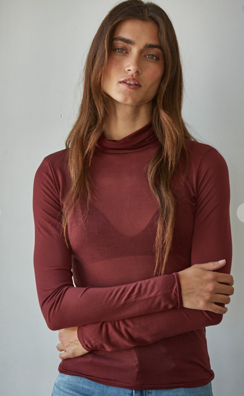 Sheer Turtleneck Long Sleeve Top