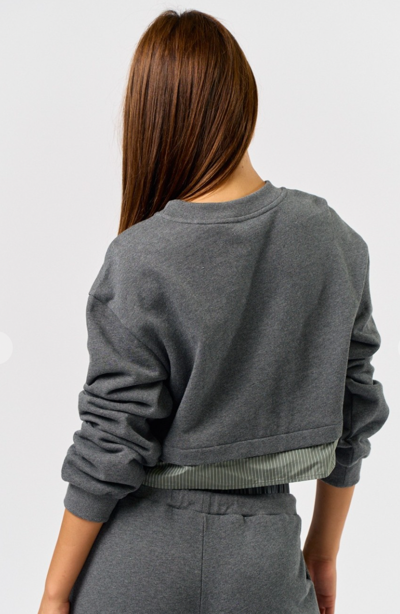 Crew Neck Sweatshirt with Contrast Stripe