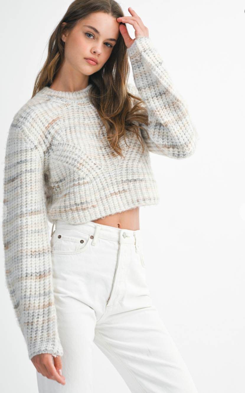Multi Stripe Knit Crop Sweater