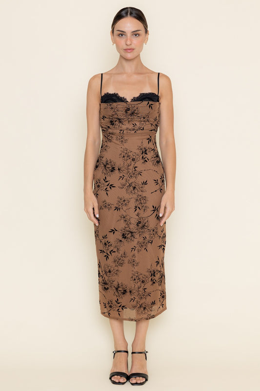 Lace Burn Out Velvet Floral Mesh Dress